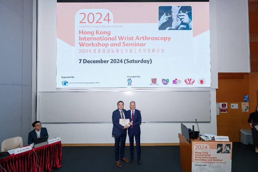 HK Wrist Course 2024- Seminar  - 136 of 257